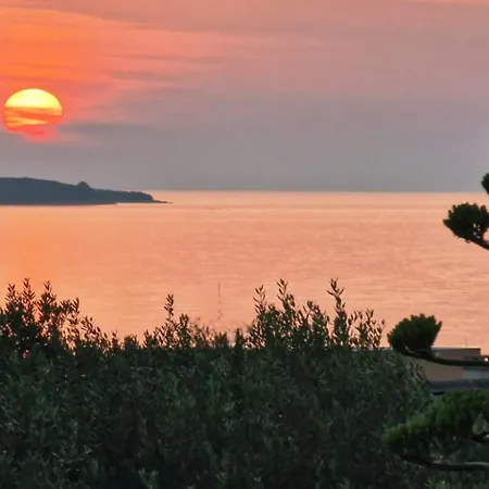 Ljubica 3*